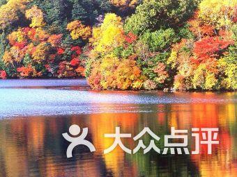 秋季浪漫约会