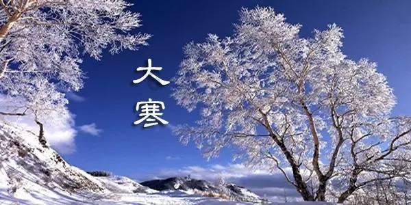 火影忍者冒险传