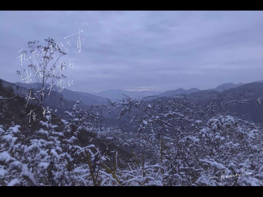 遇见丨园林生态园雪后初霁 宛若冰雪仙境