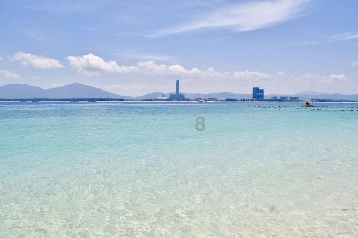 救援受困的长颈鹿