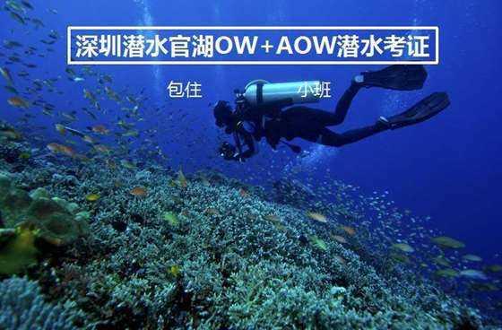 救援甜蜜熊