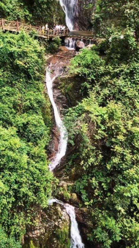 顶级寿司店