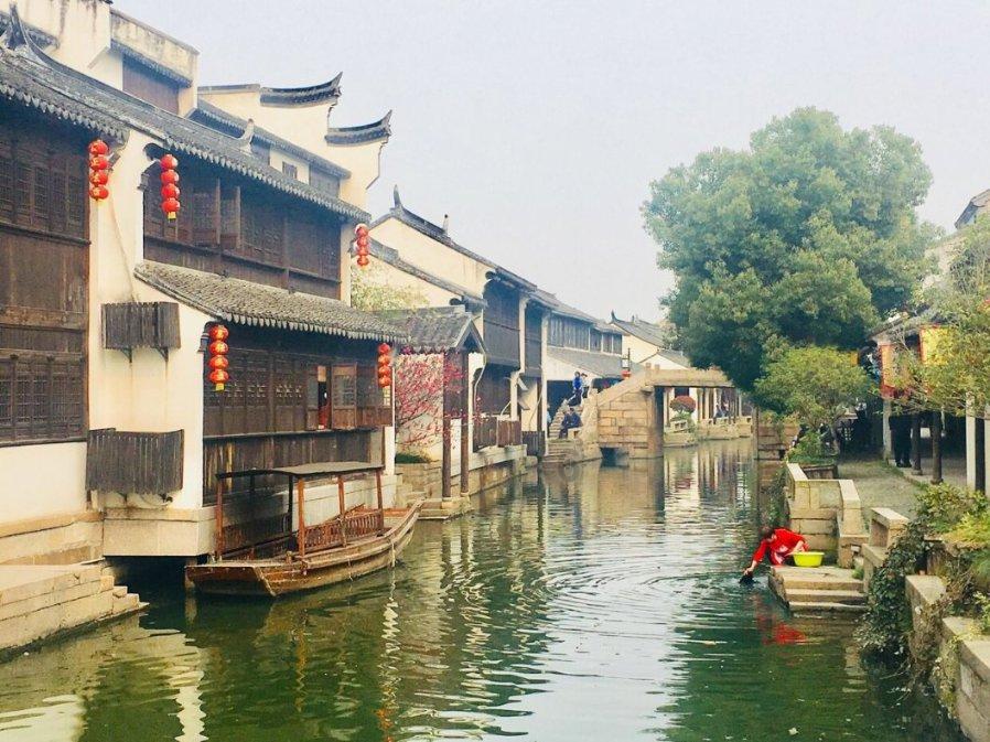 逛龙展,迎龙年!来这里看嘉定本土“龙”