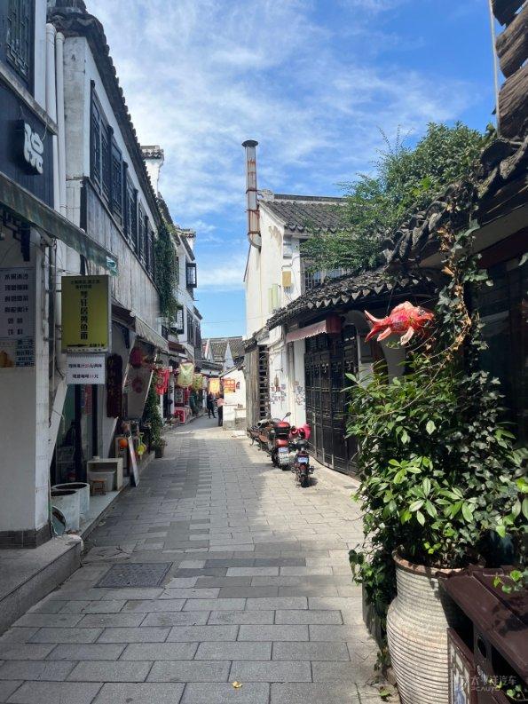 爱吃叶子的毛毛虫