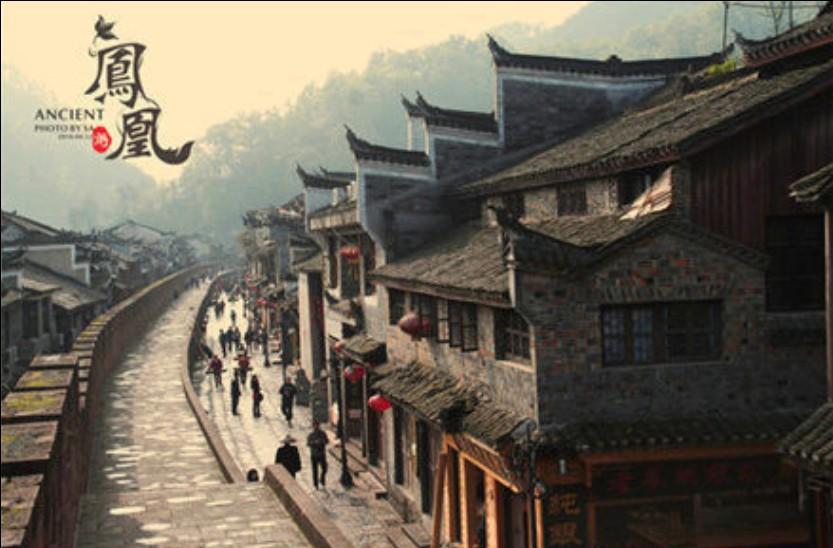 危险森林大逃脱